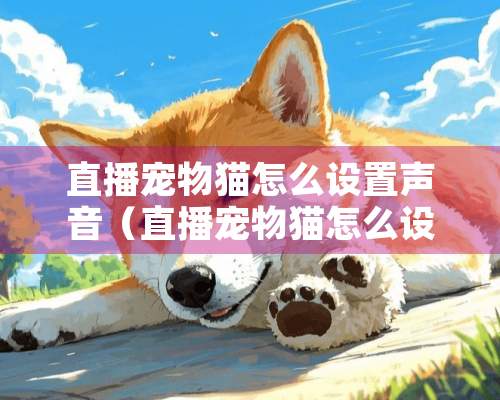 直播宠物猫怎么设置声音（直播宠物猫怎么设置声音大）