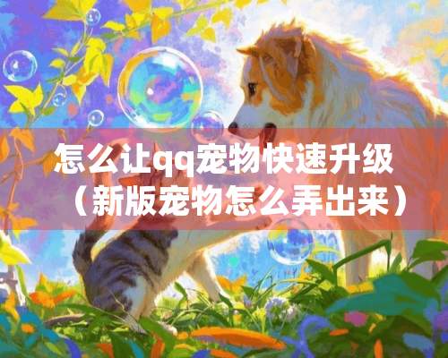 怎么让qq宠物快速升级（新版宠物怎么弄出来）