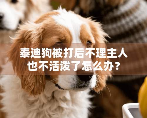 泰迪狗被打后不理主人也不活泼了怎么办？