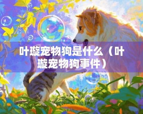 叶璇宠物狗是什么（叶璇宠物狗事件）