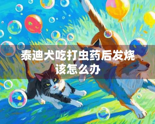 泰迪犬吃打虫药后发烧该怎么办