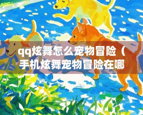 qq炫舞怎么宠物冒险（手机炫舞宠物冒险在哪里）