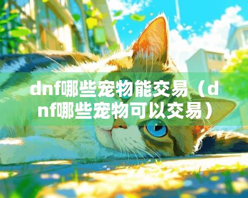 dnf哪些宠物能交易（dnf哪些宠物可以交易）