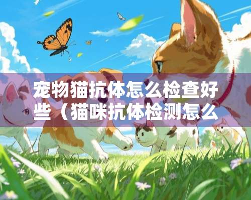 宠物猫抗体怎么检查好些（猫咪抗体检测怎么检测）