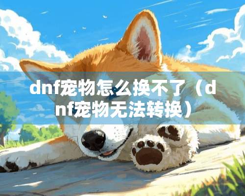 dnf宠物怎么换不了（dnf宠物无法转换）