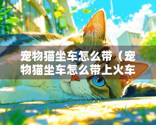 宠物猫坐车怎么带（宠物猫坐车怎么带上火车）