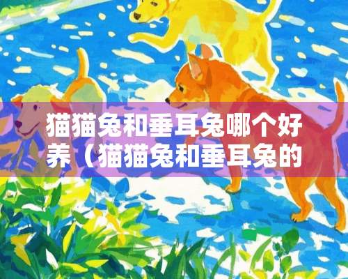 猫猫兔和垂耳兔哪个好养（猫猫兔和垂耳兔的区别）