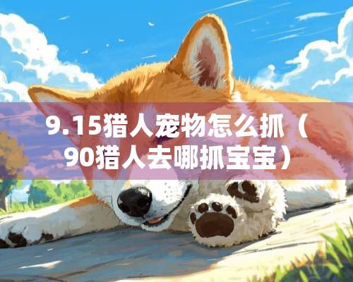 9.15猎人宠物怎么抓（90猎人去哪抓宝宝）