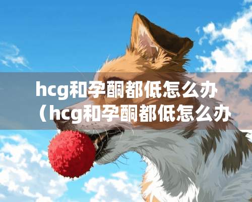 hcg和孕酮都低怎么办（hcg和孕酮都低怎么办）