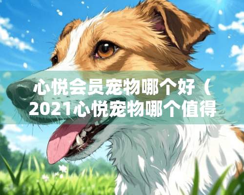 心悦会员宠物哪个好（2021心悦宠物哪个值得换）