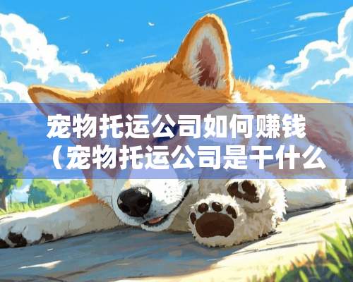 宠物托运公司如何赚钱（宠物托运公司是干什么的）