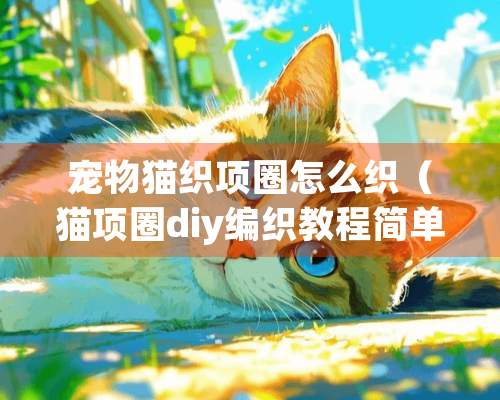 宠物猫织项圈怎么织（猫项圈diy编织教程简单）