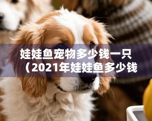 娃娃鱼宠物多少钱一只（2021年娃娃鱼多少钱）