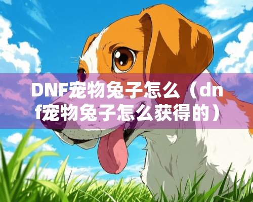 DNF宠物兔子怎么（dnf宠物兔子怎么获得的）