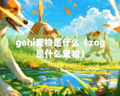 gohi宠物是什么（zog是什么宠物）