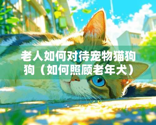 老人如何对待宠物猫狗狗（如何照顾老年犬）