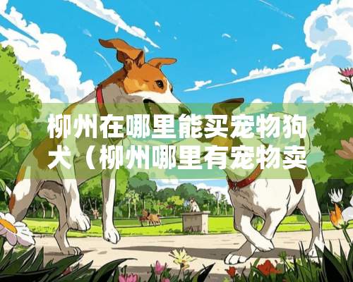 柳州在哪里能买宠物狗犬（柳州哪里有宠物卖）