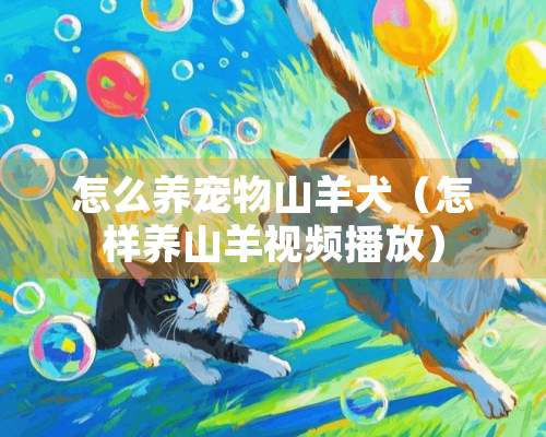 怎么养宠物山羊犬（怎样养山羊视频播放）