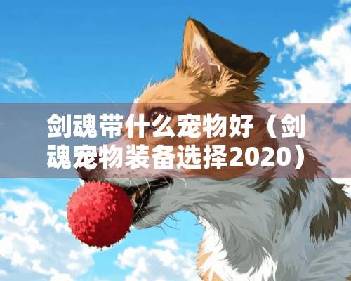 剑魂带什么宠物好（剑魂宠物装备选择2020）