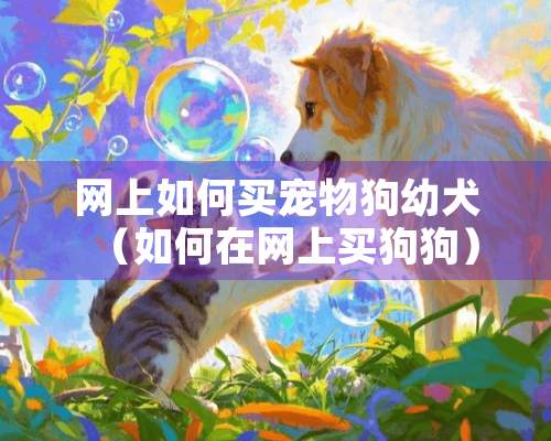 网上如何买宠物狗幼犬（如何在网上买狗狗）