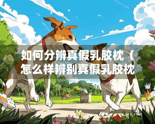 如何分辨真假乳胶枕（怎么样辨别真假乳胶枕头）