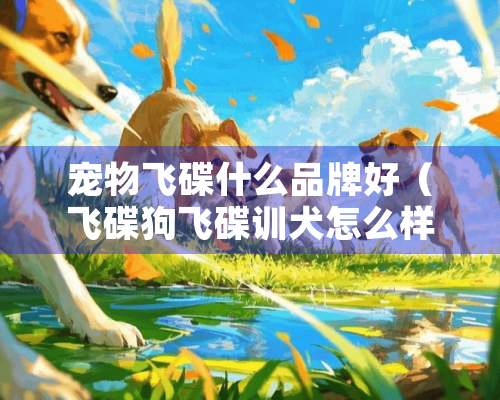 宠物飞碟什么品牌好（飞碟狗飞碟训犬怎么样）