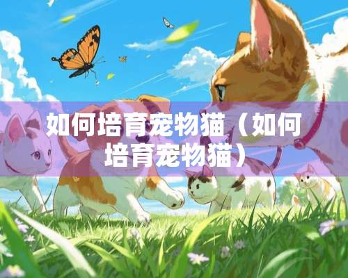 如何培育宠物猫（如何培育宠物猫）