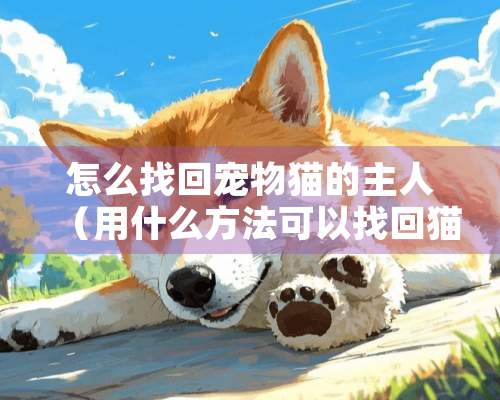 怎么找回宠物猫的主人（用什么方法可以找回猫咪）