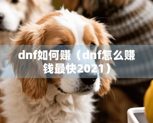 dnf如何赚（dnf怎么赚钱最快2021）