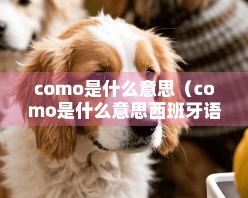 como是什么意思（como是什么意思西班牙语）