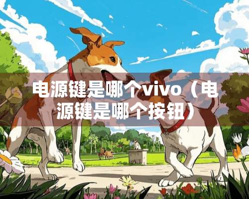 电源键是哪个vivo（电源键是哪个按钮）