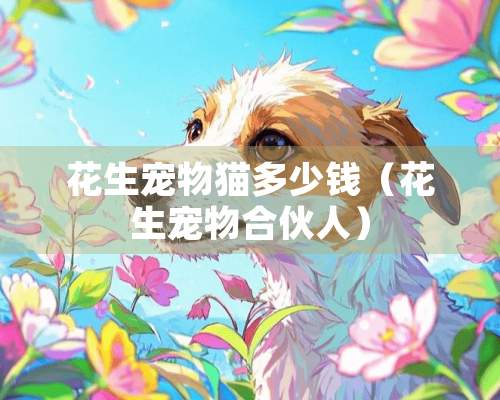 花生宠物猫多少钱（花生宠物合伙人）