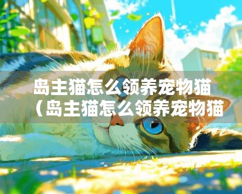 岛主猫怎么领养宠物猫（岛主猫怎么领养宠物猫的）