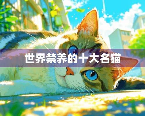 世界禁养的十大名猫