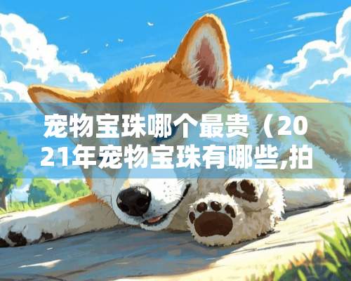 宠物宝珠哪个最贵（2021年宠物宝珠有哪些,拍卖行能买到的）