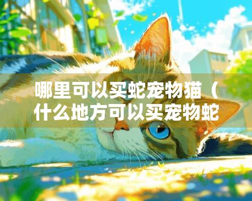 哪里可以买蛇宠物猫（什么地方可以买宠物蛇）