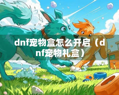 dnf宠物盒怎么开启（dnf宠物礼盒）