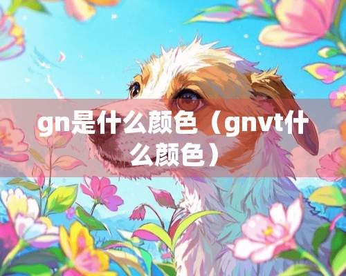 gn是什么颜色（gnvt什么颜色）