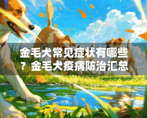 金毛犬常见症状有哪些？金毛犬疫病防治汇总