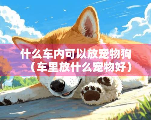 什么车内可以放宠物狗（车里放什么宠物好）