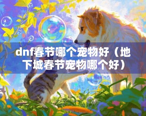 dnf春节哪个宠物好（地下城春节宠物哪个好）