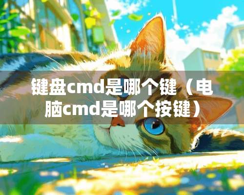 键盘cmd是哪个键（电脑cmd是哪个按键）