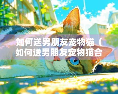 如何送男朋友宠物猫（如何送男朋友宠物猫合适）