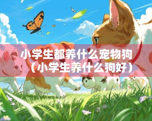 小学生都养什么宠物狗（小学生养什么狗好）