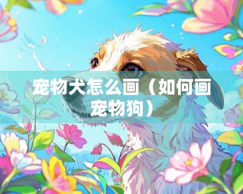 宠物犬怎么画（如何画宠物狗）