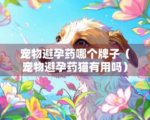 宠物避孕药哪个牌子（宠物避孕药猫有用吗）