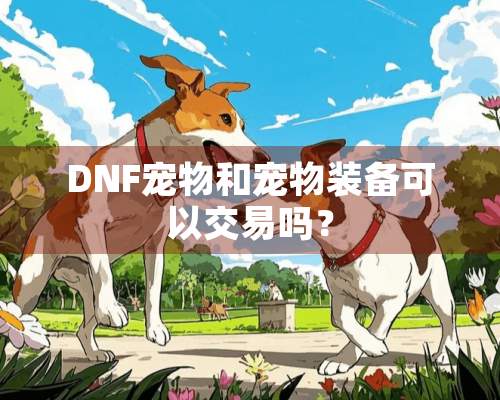 DNF宠物和宠物装备可以交易吗？