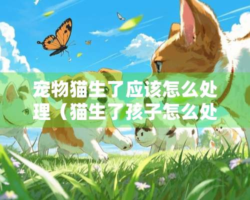 宠物猫生了应该怎么处理（猫生了孩子怎么处理）