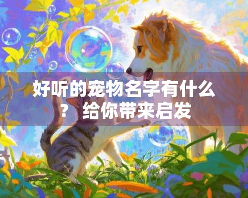 好听的宠物名字有什么？ 给你带来启发