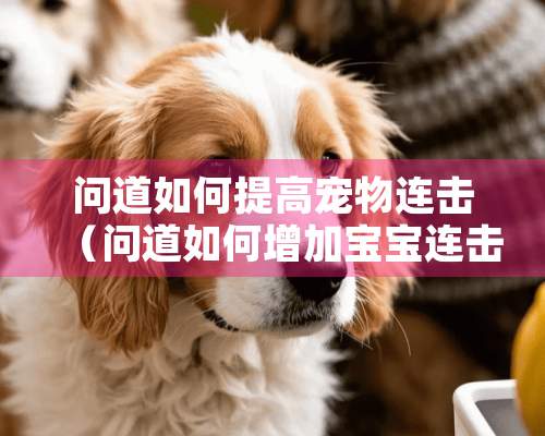 问道如何提高宠物连击（问道如何增加宝宝连击效果）